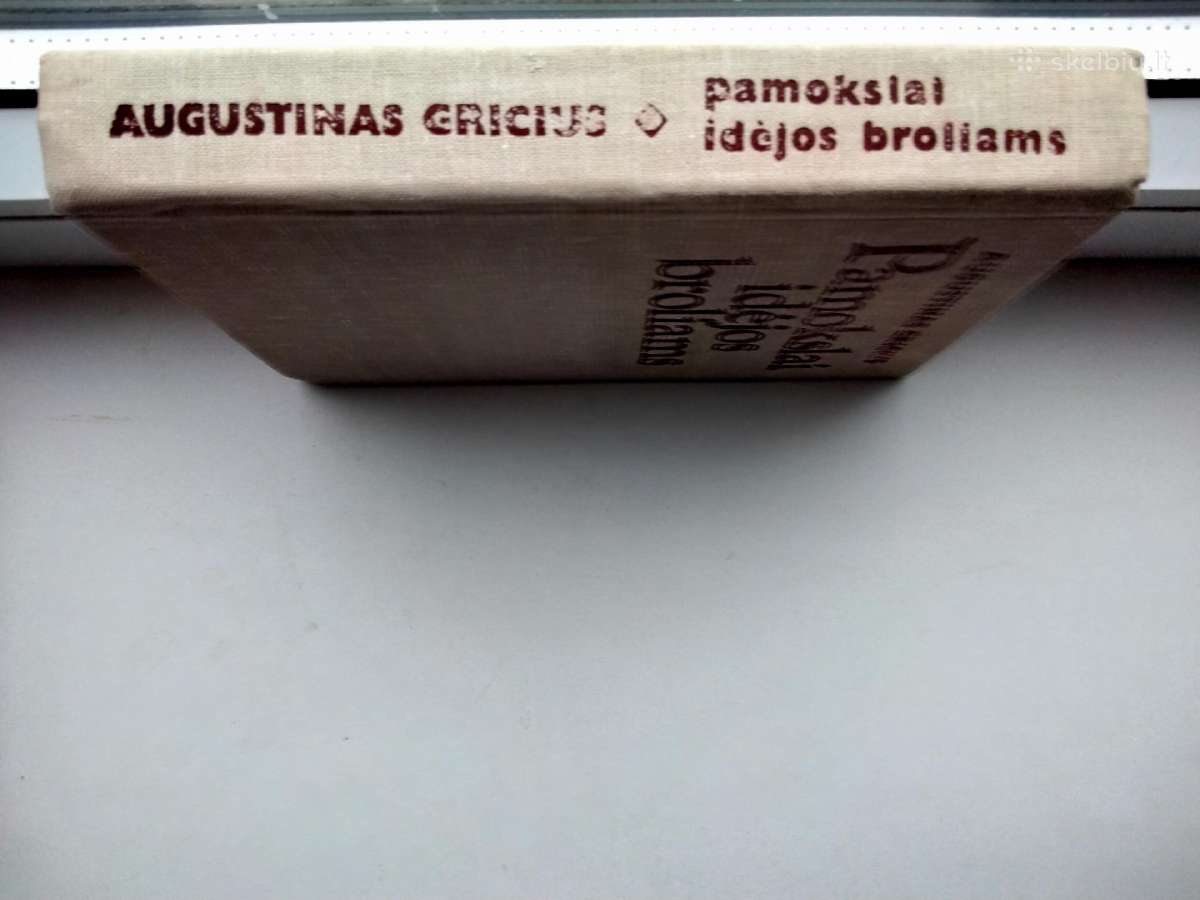 A. Gricius. Pamokslai idėjos broliams. 1979 m. lei - nuotraukos Nr. 10