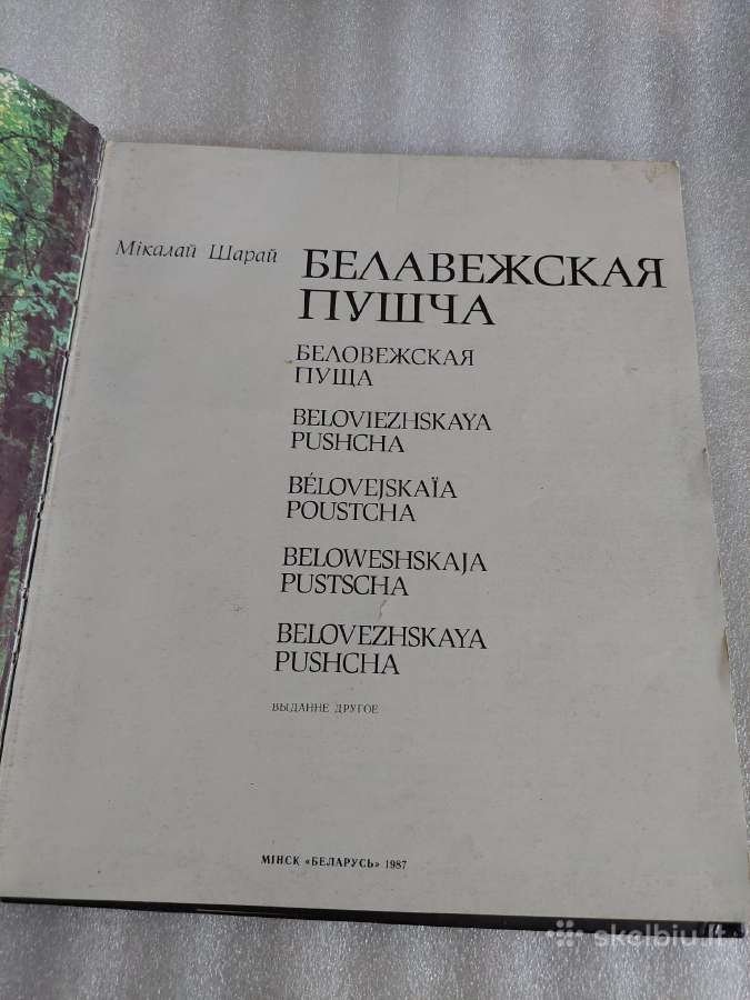 Белавежская пушча - nuotraukos Nr. 2