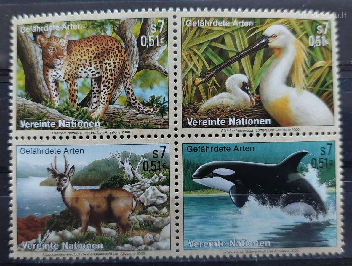 Jungtinės Tautos (Viena) 2000 fauna, švarus, miche