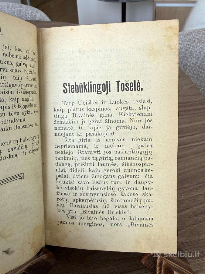Lazdynų Pelėdos rinkinys 1908 - nuotraukos Nr. 3