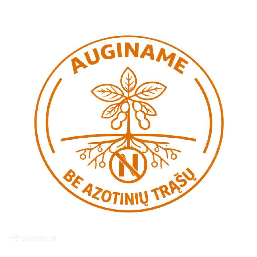 Sertifikuota ankstyvų Sojų sėkla C1 - nuotraukos Nr. 5