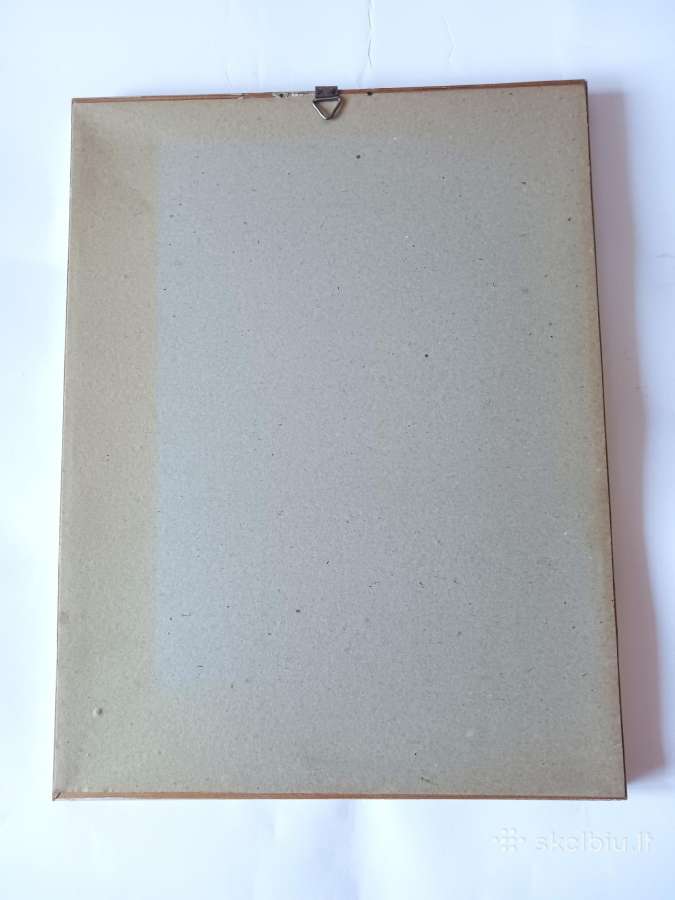 Paveikslas "Rože" Pierre Joseph Redaute 1830 met. - nuotraukos Nr. 9