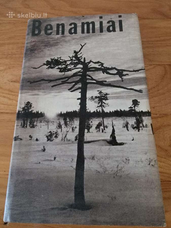 1989 m.l.gudaitis "Benamiai" - nuotraukos Nr. 2