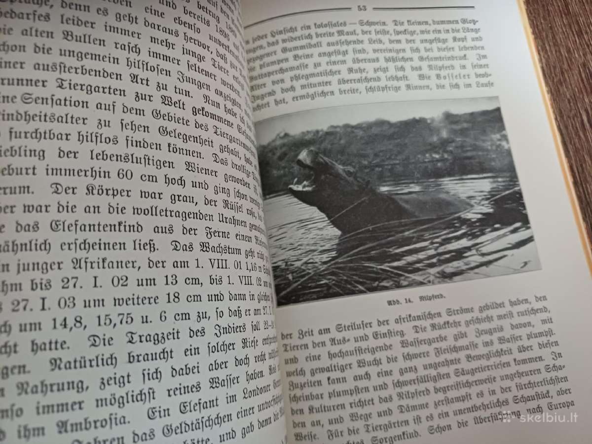 Parduodu knyga,1910m - nuotraukos Nr. 20