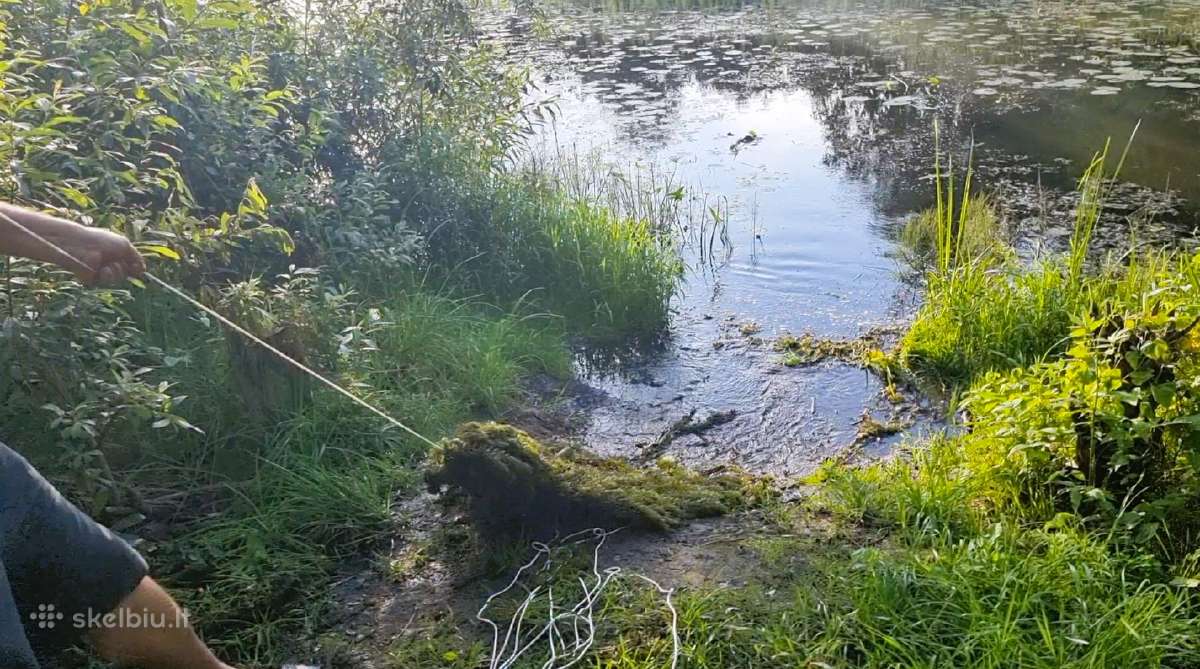 Dugno šukos 19€ Nemokamas Siuntimas - nuotraukos Nr. 2