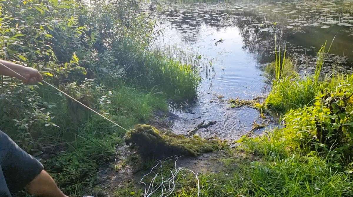 Dugno šukos 20€ Nemokamas Siuntimas - nuotraukos Nr. 3