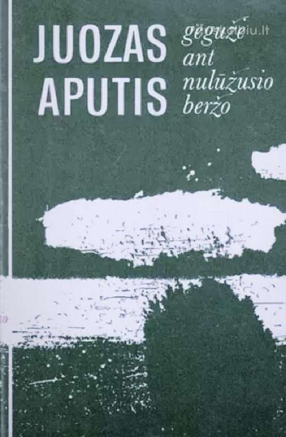 Gegužė ant nulūžusio beržo