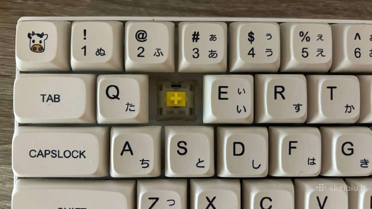 Rk61 Milky Yellow Pro Doubleshot Pbt - nuotraukos Nr. 3