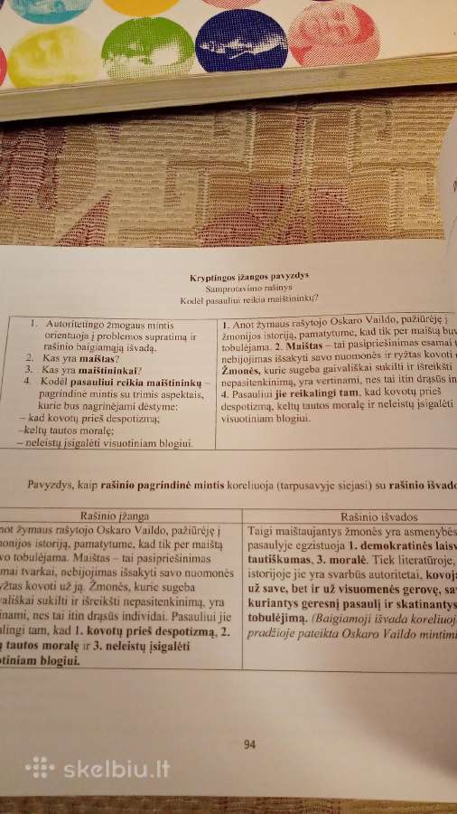 Samprotavimo ir literatūrinis rašinys - nuotraukos Nr. 5