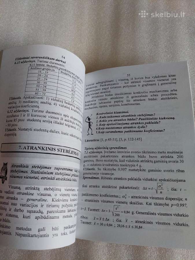 Ekonominės statistikos praktikumas - nuotraukos Nr. 5