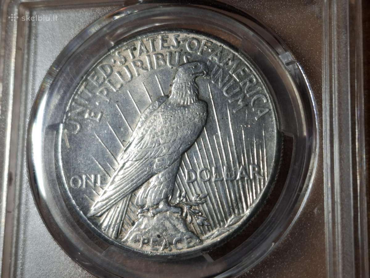 JAV 1 doleris 1928 sidabras