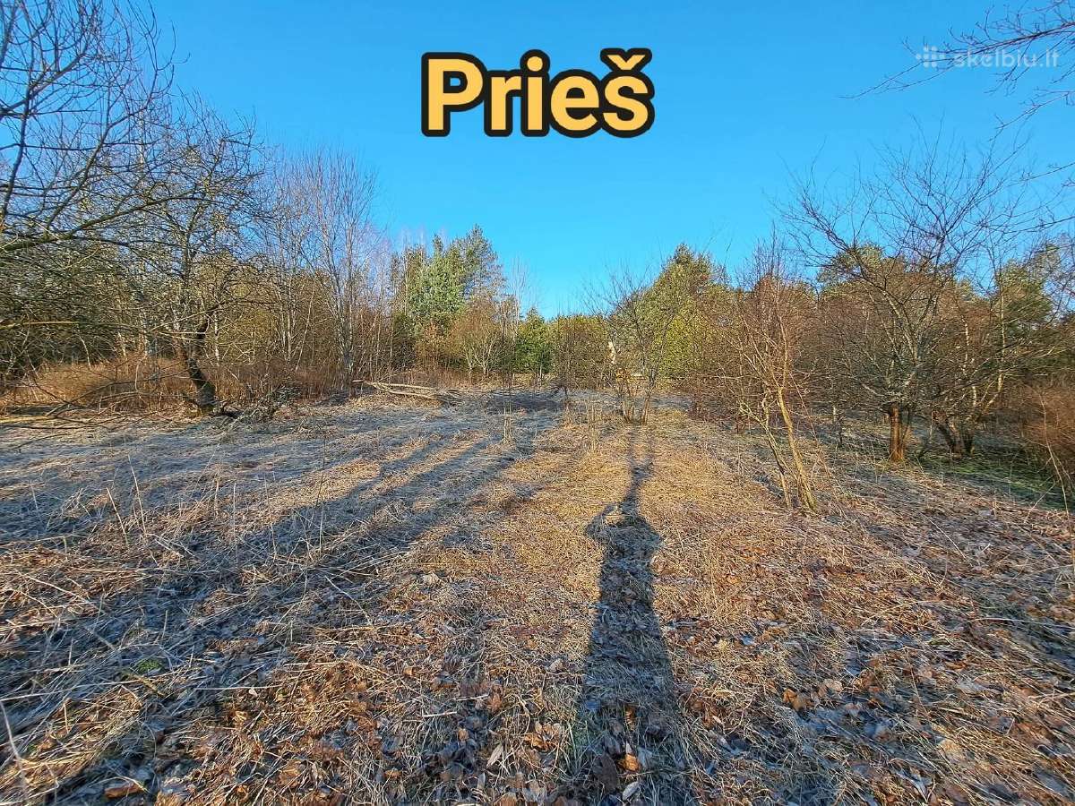 Apleistų sklypų/teritorijų profesionalus tvarkymas - nuotraukos Nr. 4