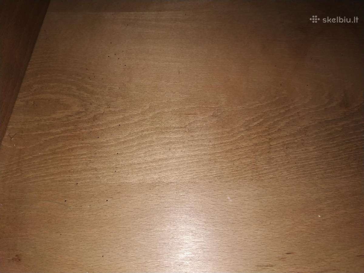 Indauja, sekcija Ąžuoline - nuotraukos Nr. 7