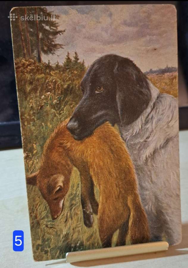 Seni iŝsiūsti tvirlaiškiai - nuotraukos Nr. 7
