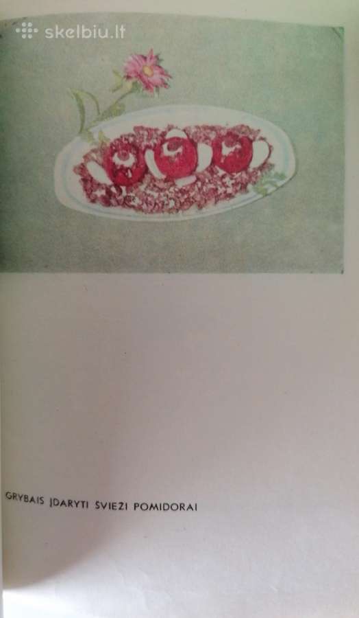 V. Šakienė "Grybai mūsų valgiui" - nuotraukos Nr. 6