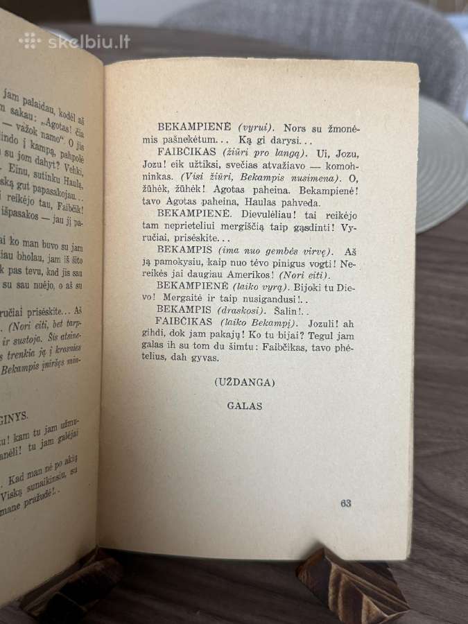Amerika pirtyje 1937 m. - nuotraukos Nr. 6