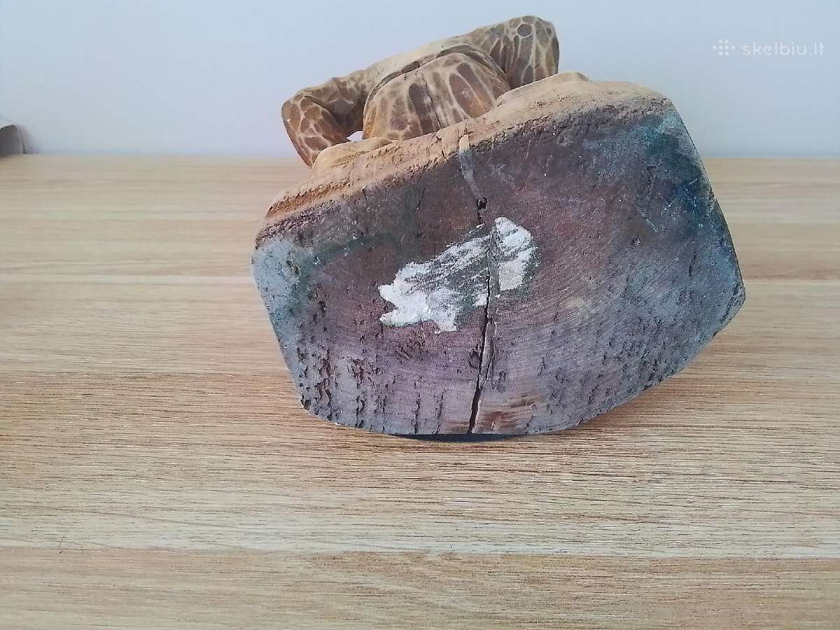 1976m Muzikantas - nuotraukos Nr. 13