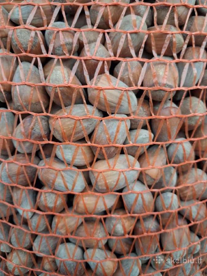 Parduodami švieži riešutai! Graikiniai riešu - nuotraukos Nr. 2