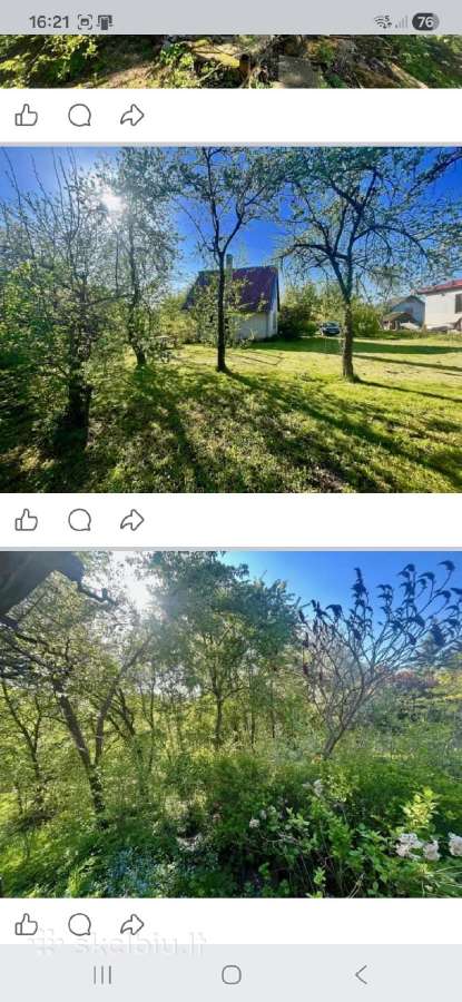 Parduodanas sodo sklypas su nameliu ir ukiniu pas - nuotraukos Nr. 6