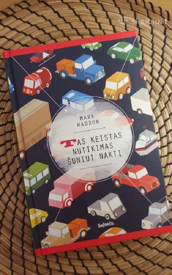 Tas keistas nutikimas šuniui naktį