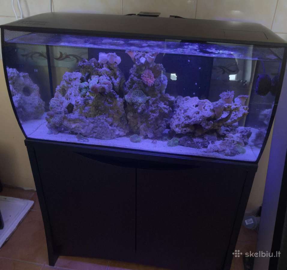 Fluval flex jūrinis akvariumas