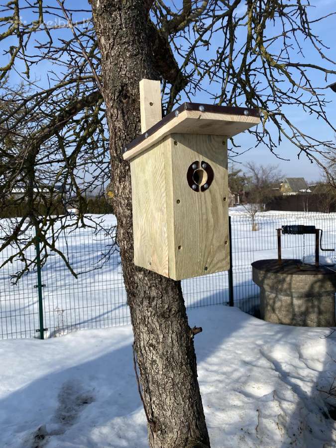 Inkilai zylėms,varnėnams,pelėdoms. - nuotraukos Nr. 2