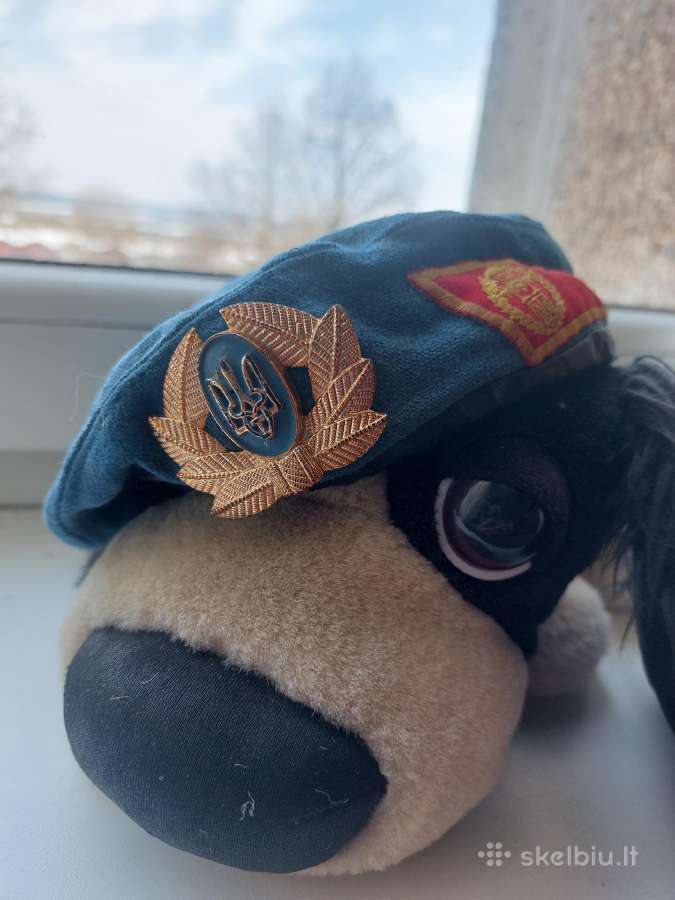 Kolekcionavimas