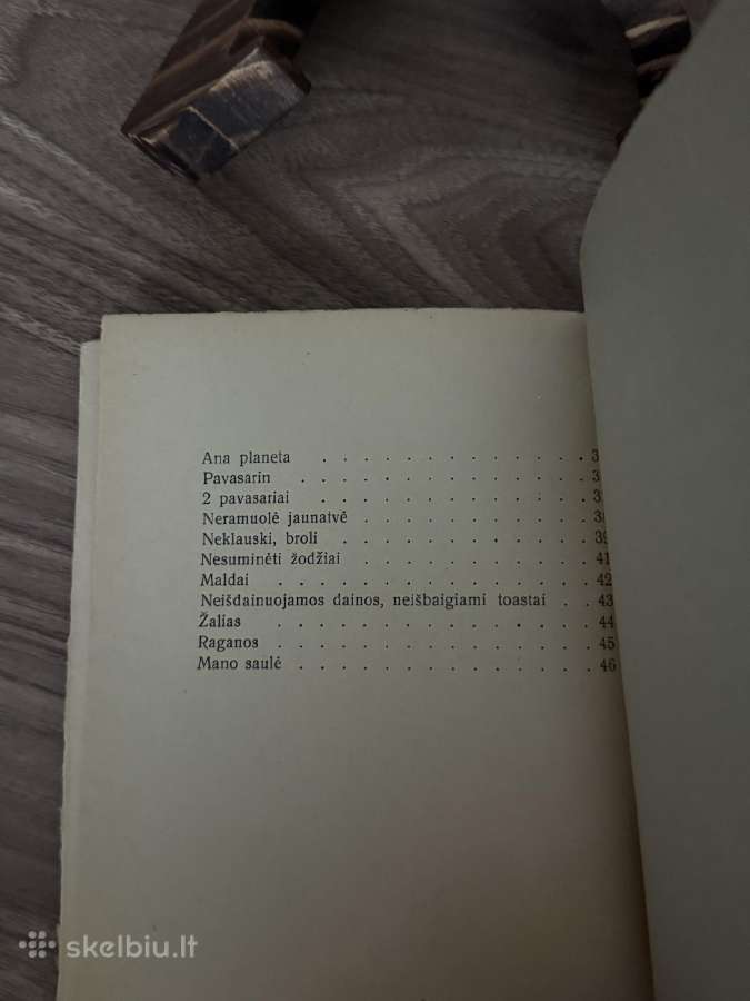 Žuvėdros bangose 1931 m. - nuotraukos Nr. 6