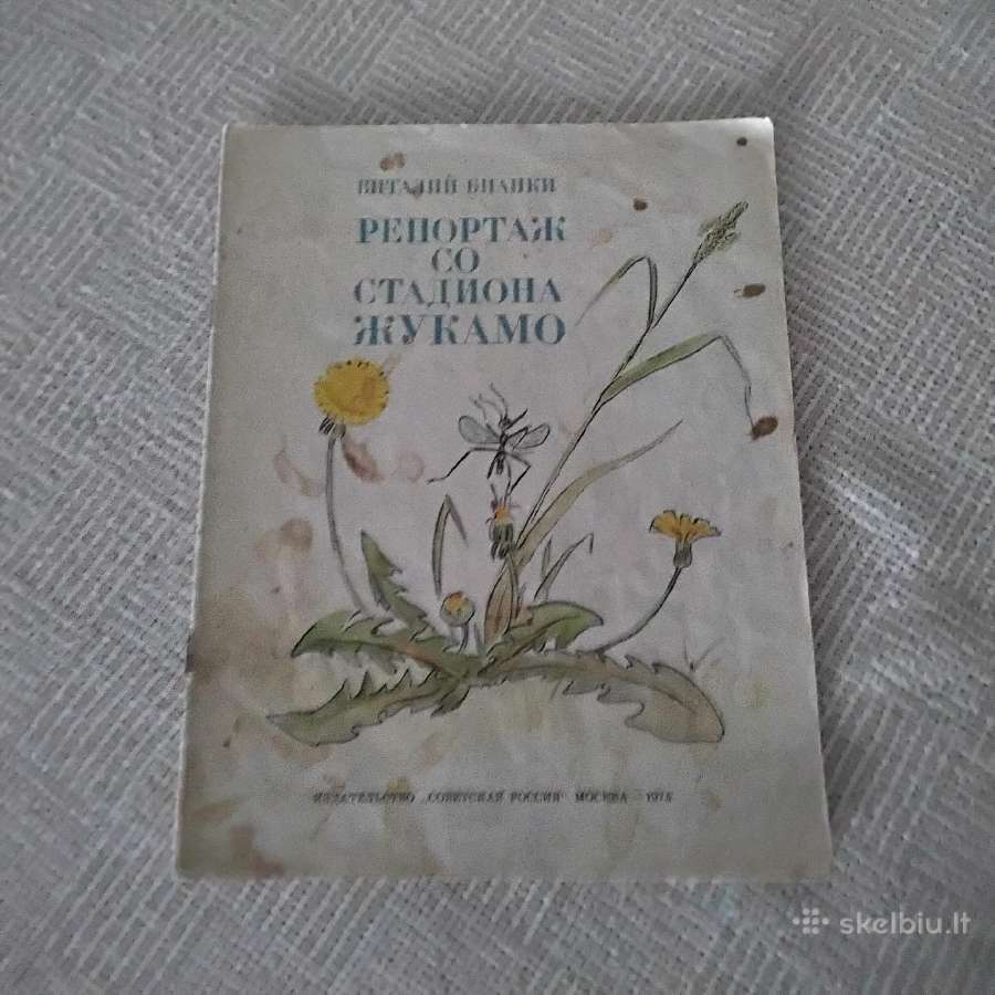 Репортаж со стадиона жукамо, Бианки Виталий