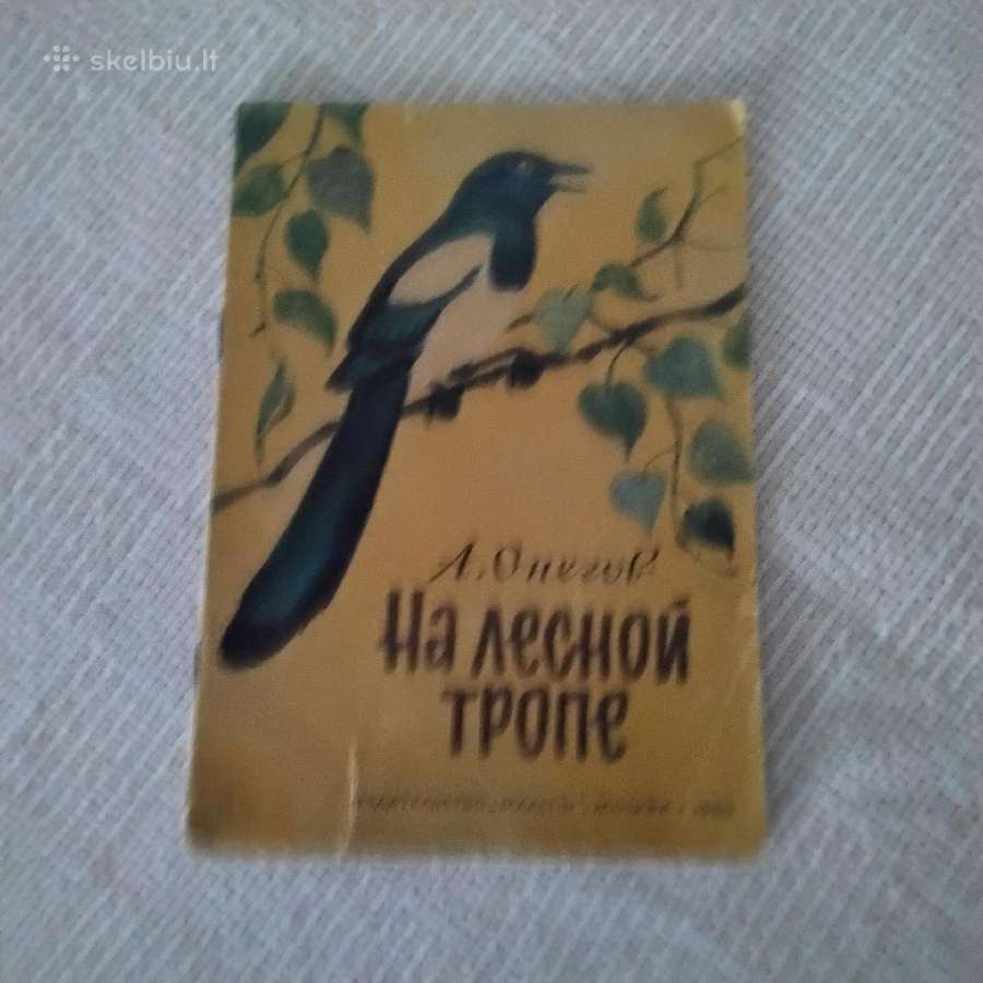 На лесной тропе