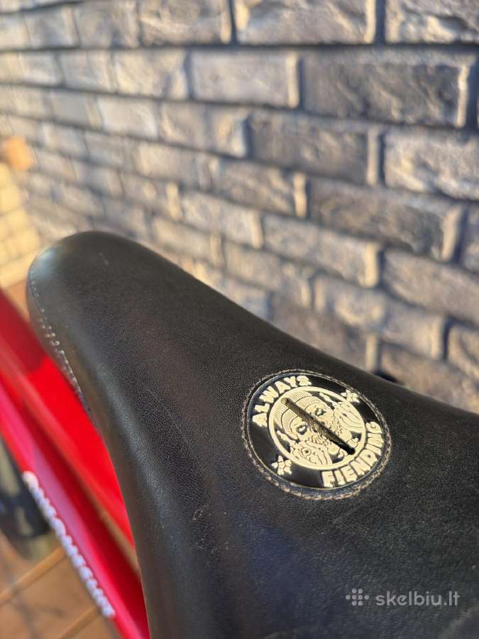 Custom BMX 21tt - nuotraukos Nr. 6