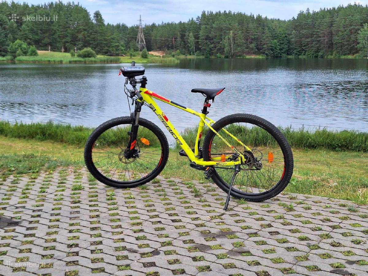 Dviratis Superior Xc819 - MTB