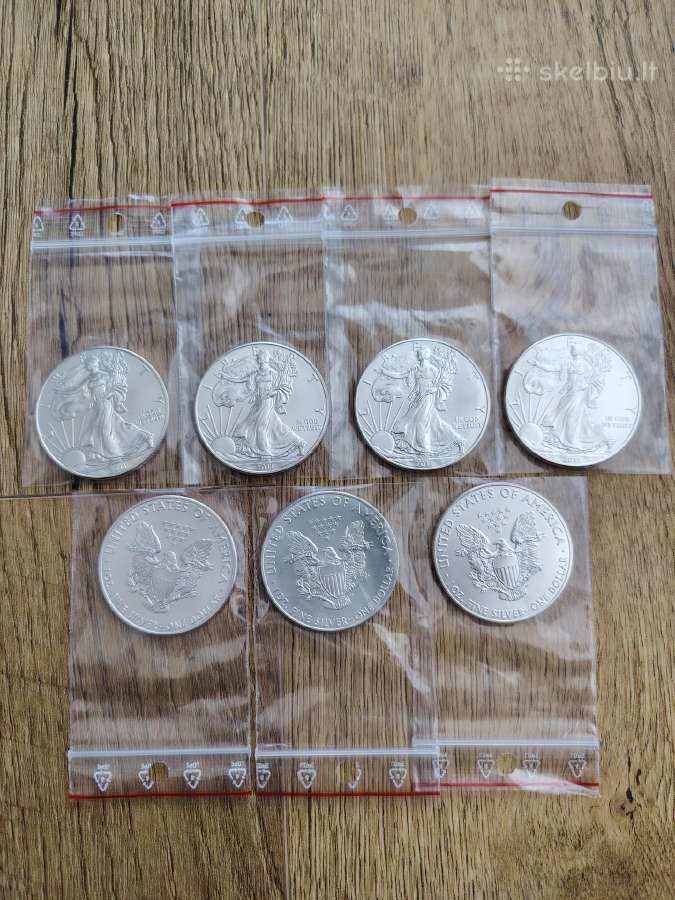 1 Oz sidabrine moneta