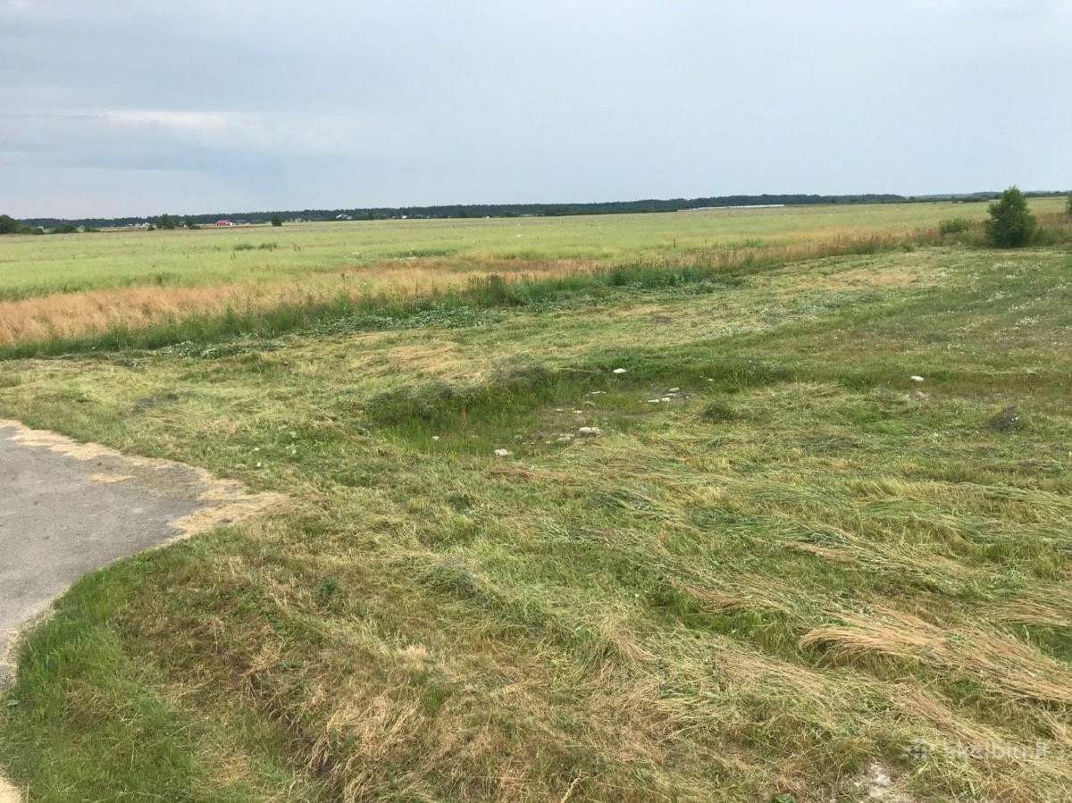 Parduodamas sklypas 18.5 a. Didieji Leliai