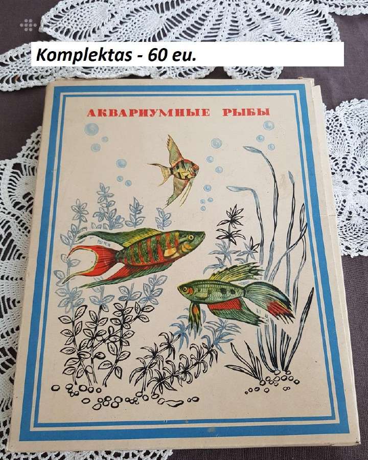 Įvairios senienos ir kt. Utenoje - Gyvai - nuotraukos Nr. 27