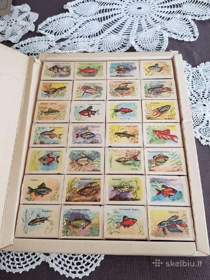 Įvairios senienos ir kt. Utenoje - Gyvai - nuotraukos Nr. 28