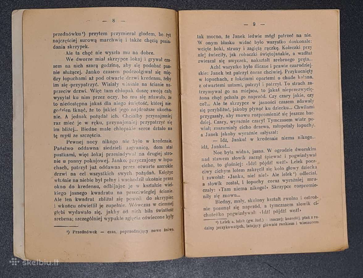 Janko muzykant. Latarnik. 1929 - nuotraukos Nr. 3