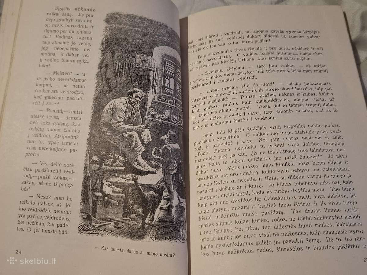 Haufo pasakos - nuotraukos Nr. 7