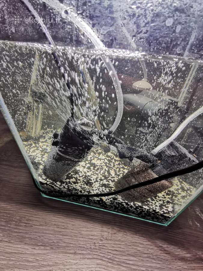 Parduodu Aquael akvariumą (19l) su įranga (Eheim, - nuotraukos Nr. 7