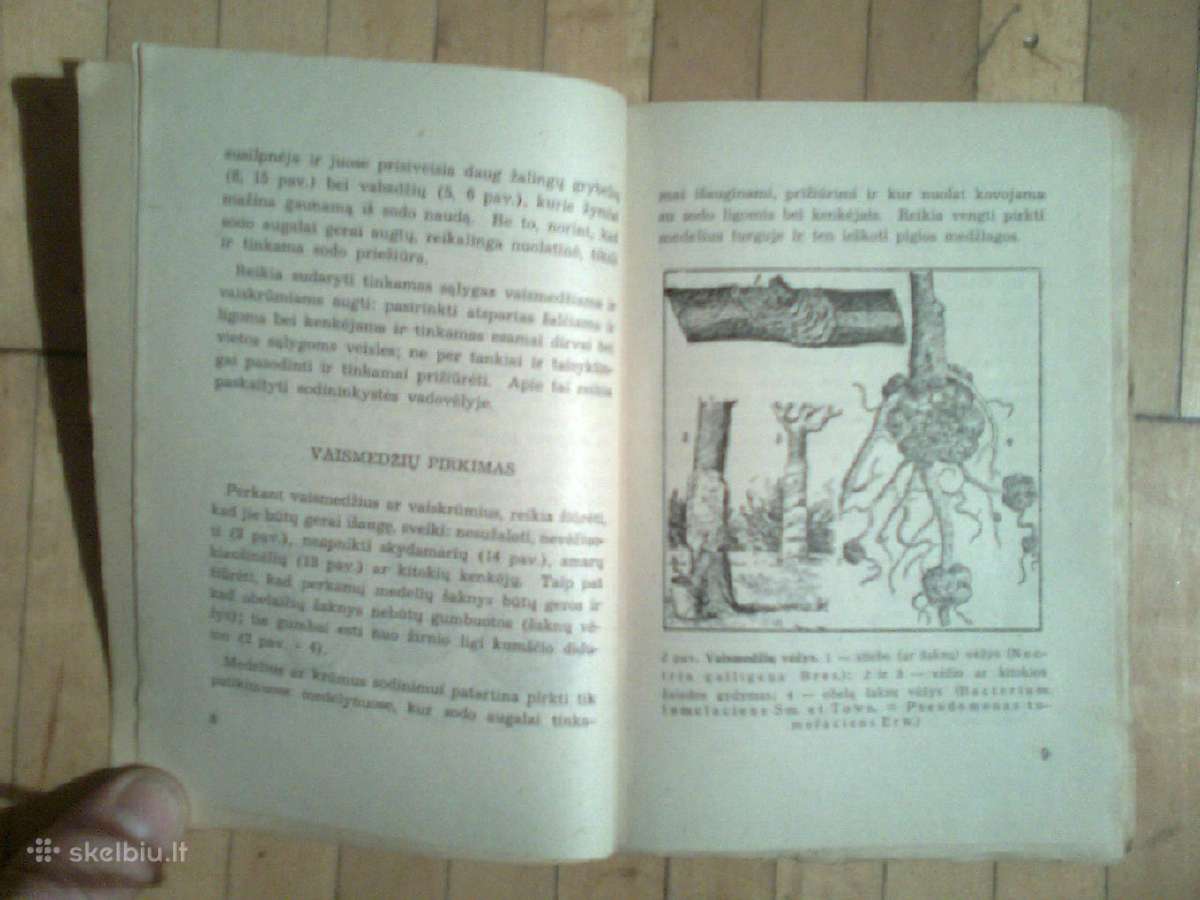 Beicu reklama isleista vok. okupacijos metais - nuotraukos Nr. 6