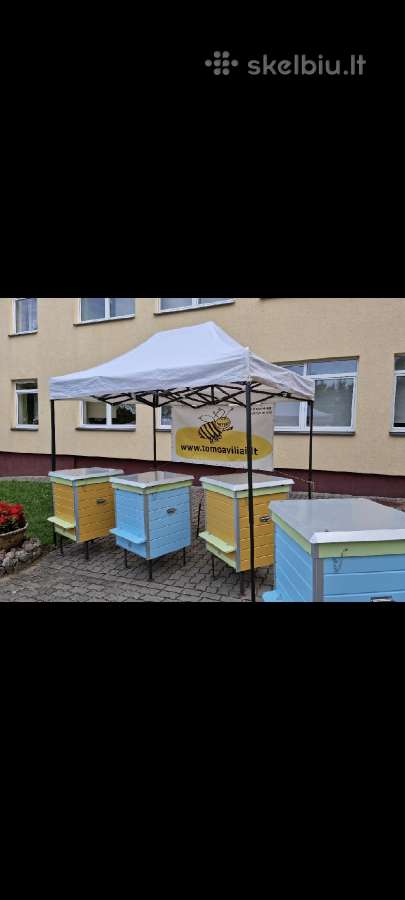 Aviliai bitems. Tomoaviliai - nuotraukos Nr. 9