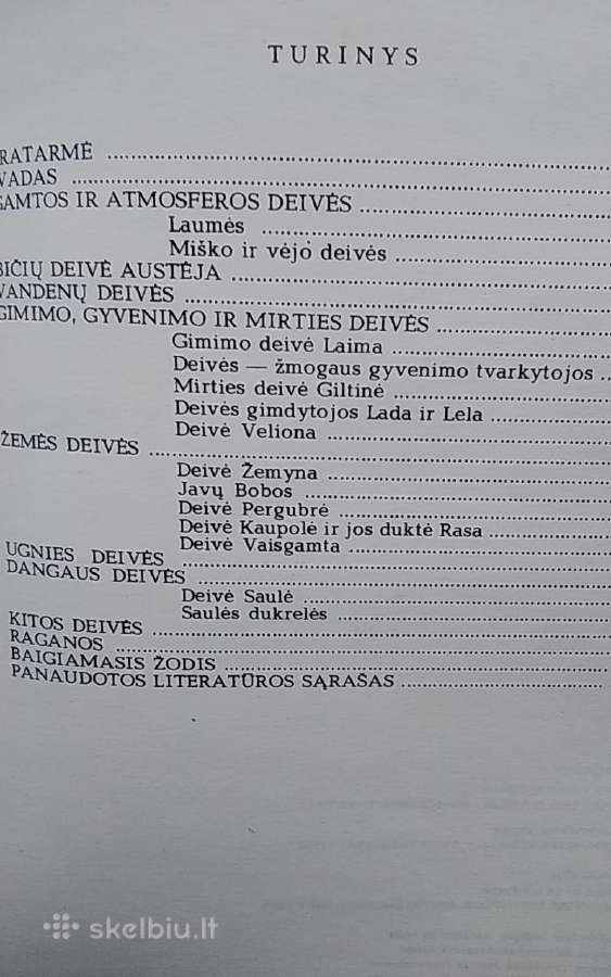 Pagonybė Lietuvoje - nuotraukos Nr. 3