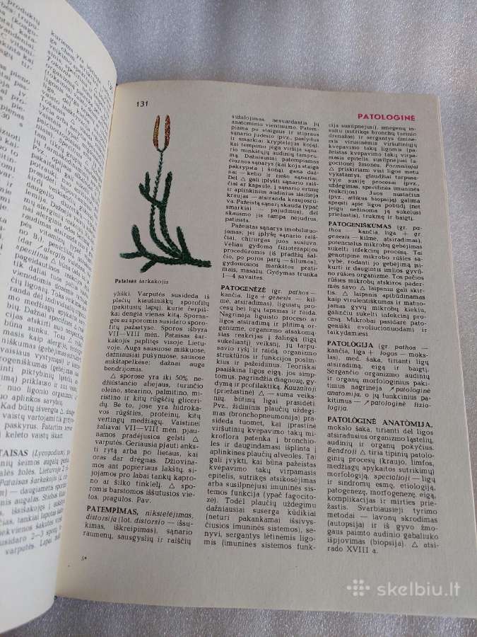Medicinos enciklopedija - nuotraukos Nr. 8
