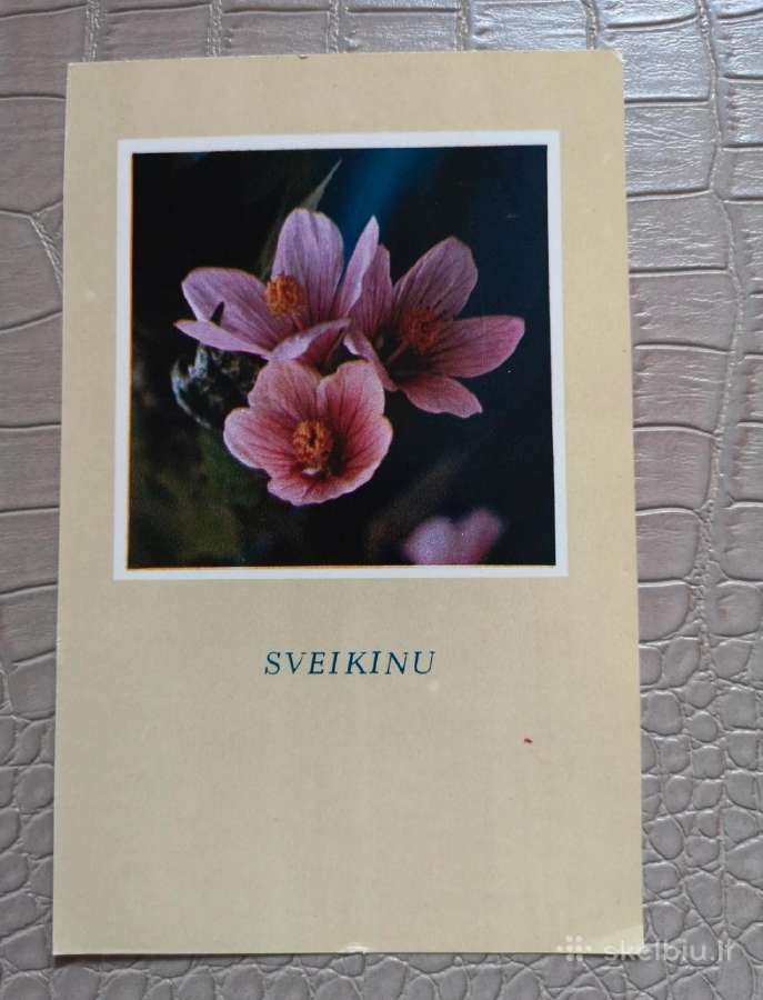 Vintažiniai senoviniai atvirukai - nuotraukos Nr. 3
