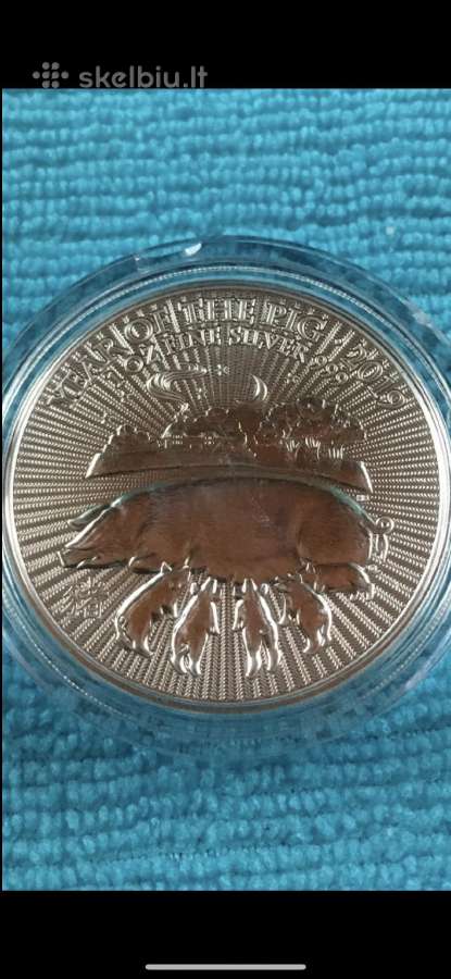Moneta UK 2019m. 2 svarai, sidabras(.999)