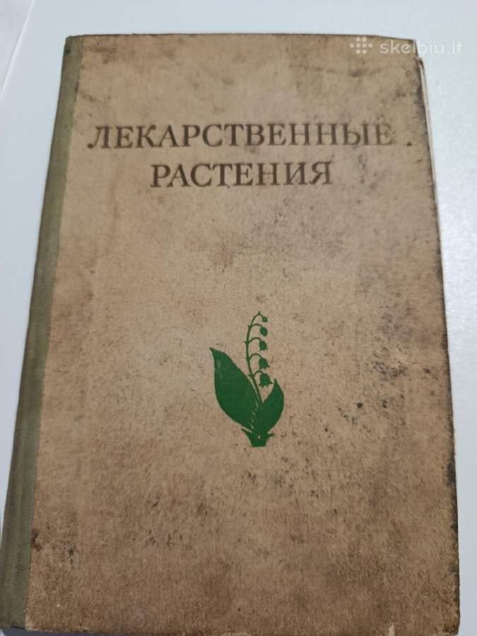 Knyga