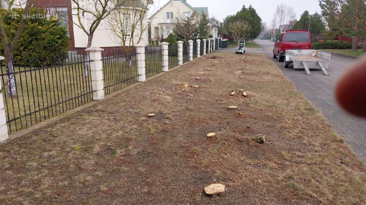 Kelmu frezavimas ,medziu,krumu pjovimas,isvezimas. - nuotraukos Nr. 16