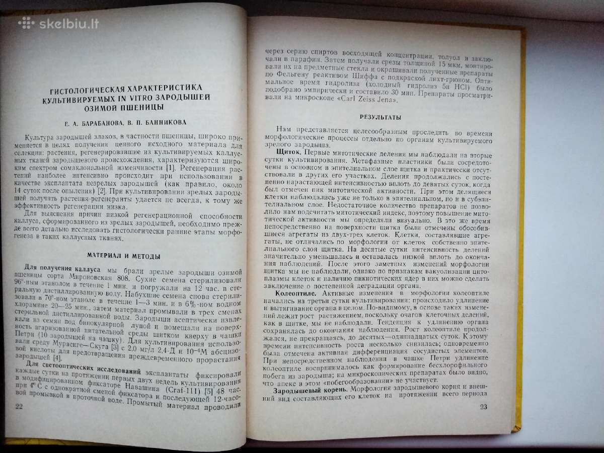 Grūdinių kultūrų citogenetika (rusų k.) - nuotraukos Nr. 7