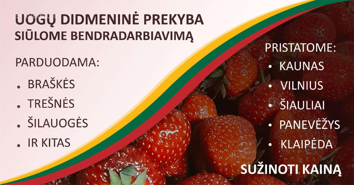 Uogų didmeninė prekyba