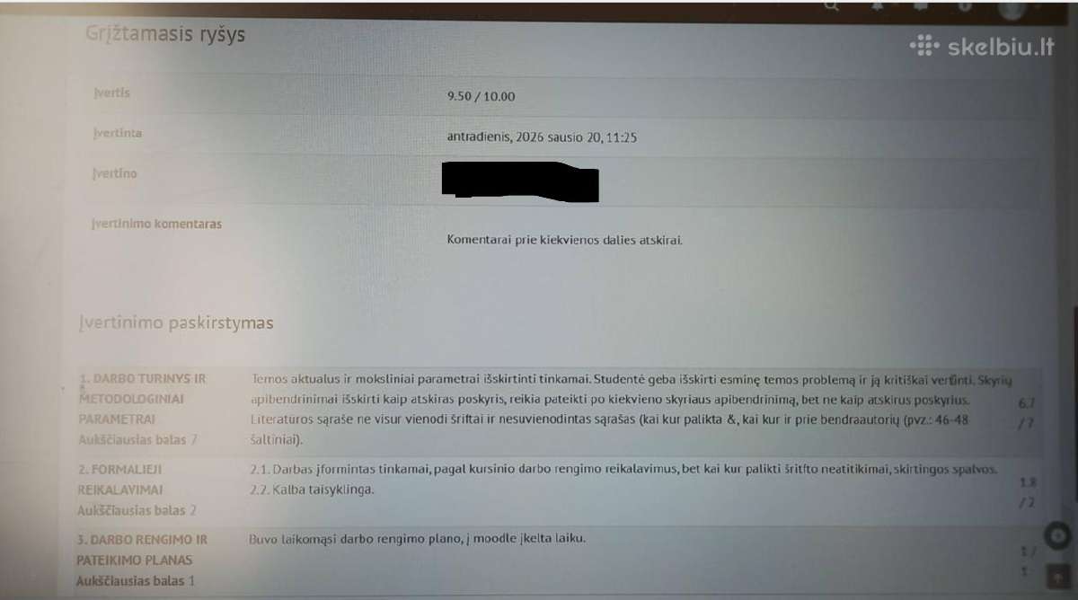 Profesionali Pagalba Studentams/ Verslo Planai - nuotraukos Nr. 3
